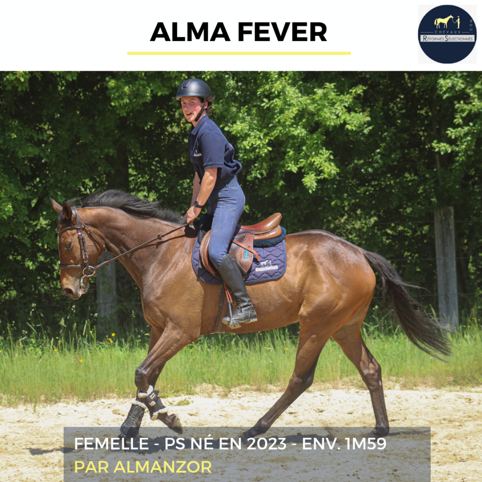 ALMA FEVER - PS - 3 ANS
