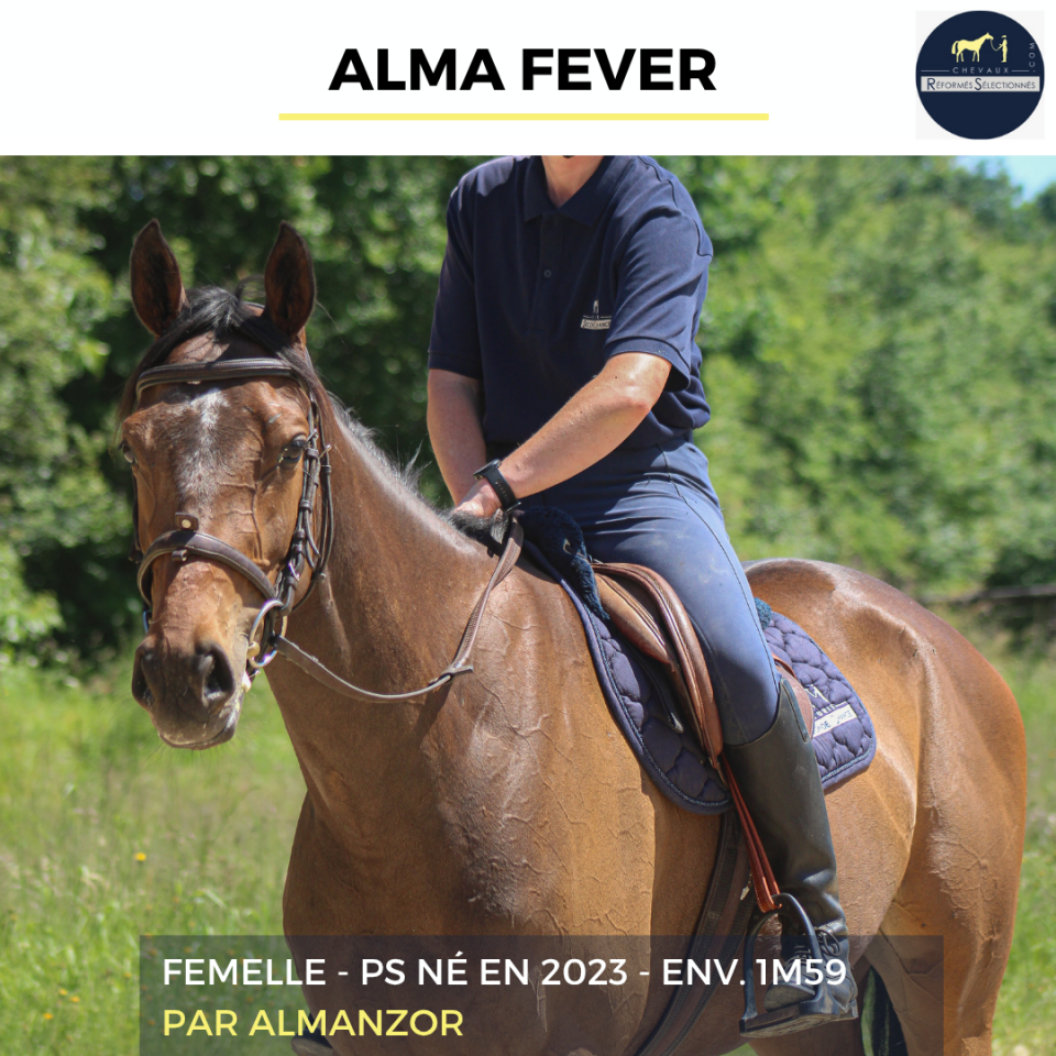 ALMA FEVER - PS - 3 ANS