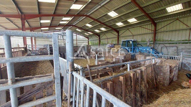 Proche DORDOGNE: propri&eacute;t&eacute; compl&egrave;te de 18 hectares, au calme