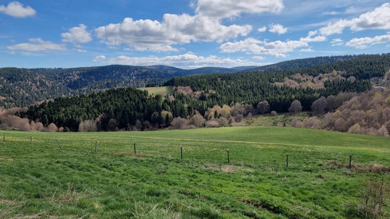 Propri&eacute;t&eacute; &eacute;questre sur 16 ha en montagne ard&eacute;choise ?