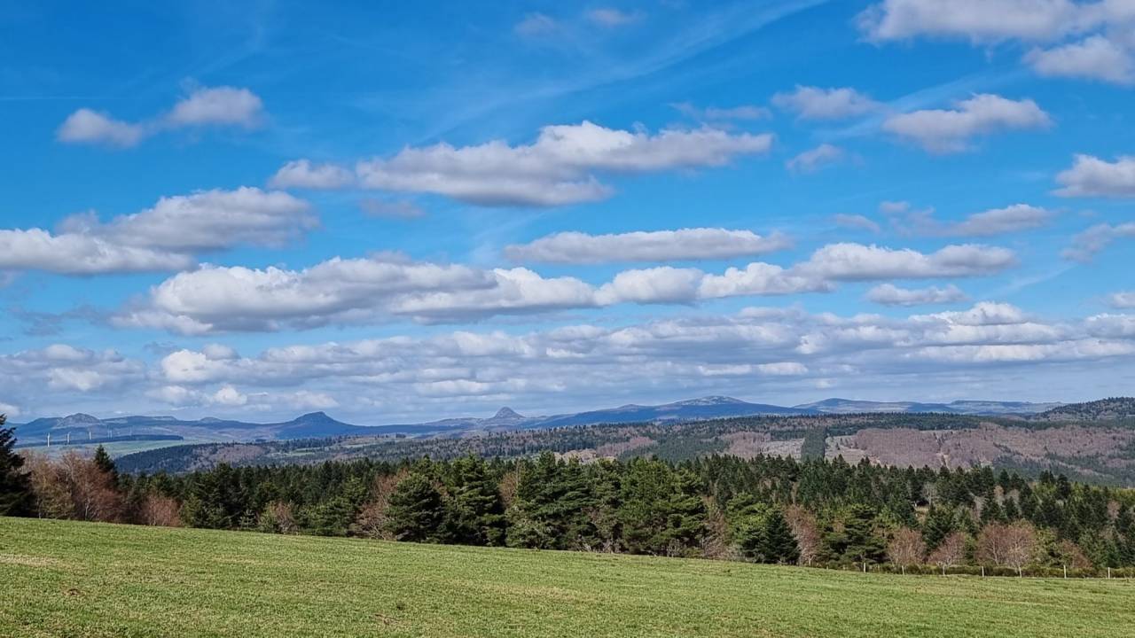 Propri&eacute;t&eacute; &eacute;questre sur 16 ha en montagne ard&eacute;choise ?