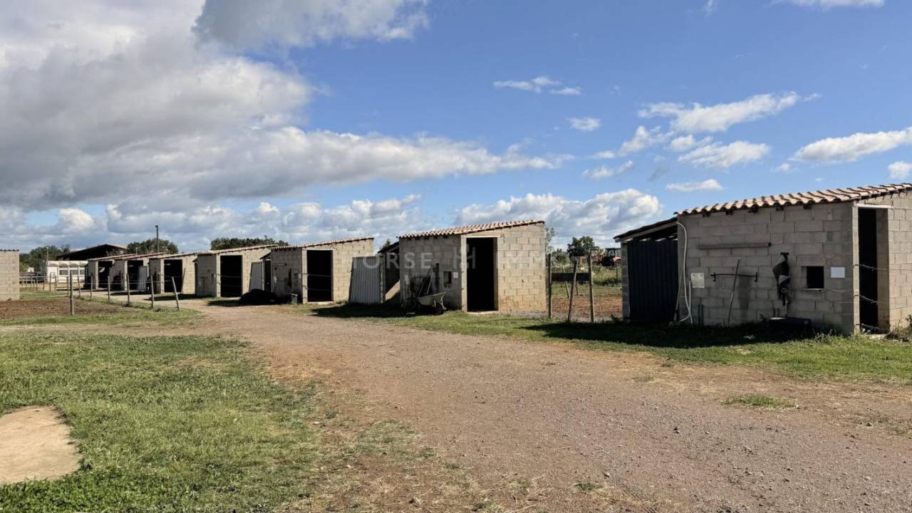 Rare- Propri&eacute;t&eacute; &eacute;questre cl&eacute; en main