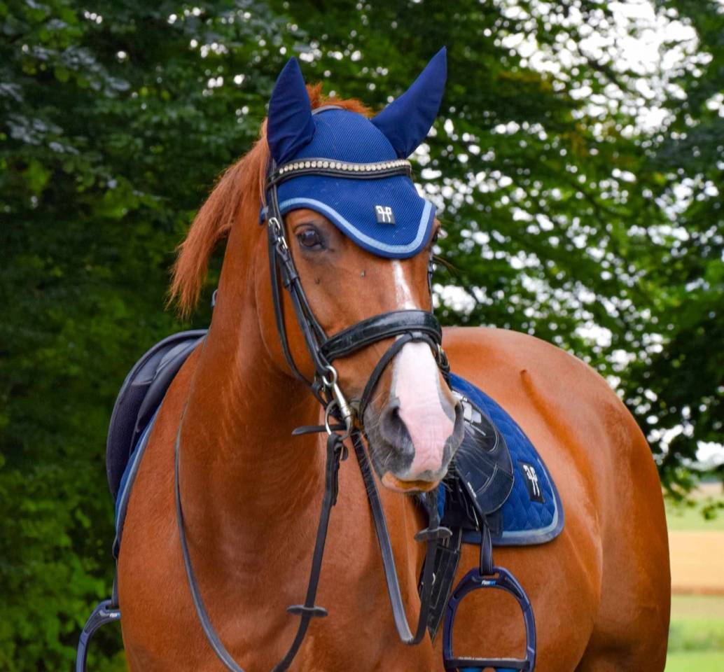 Poney &agrave; vendre 