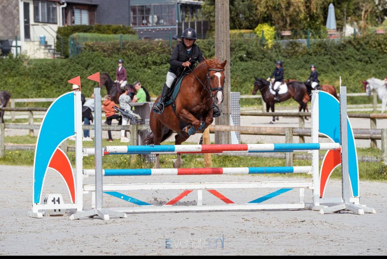Poney &agrave; vendre 