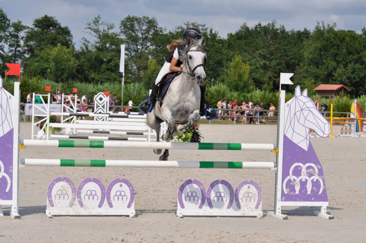Ponette DSA de 13 ans 