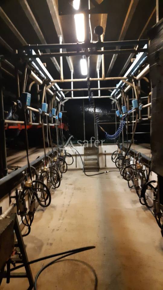 Exploitation d'&eacute;levage