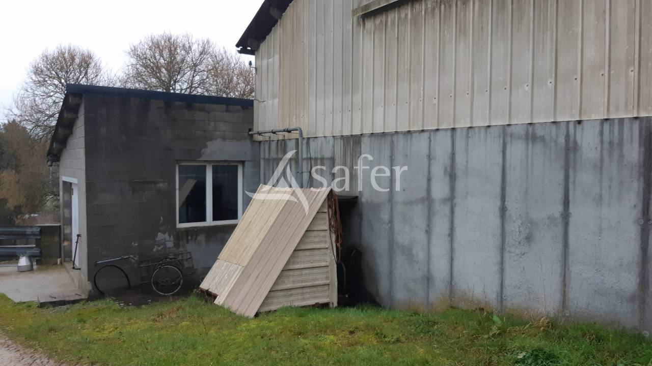 Exploitation d'&eacute;levage