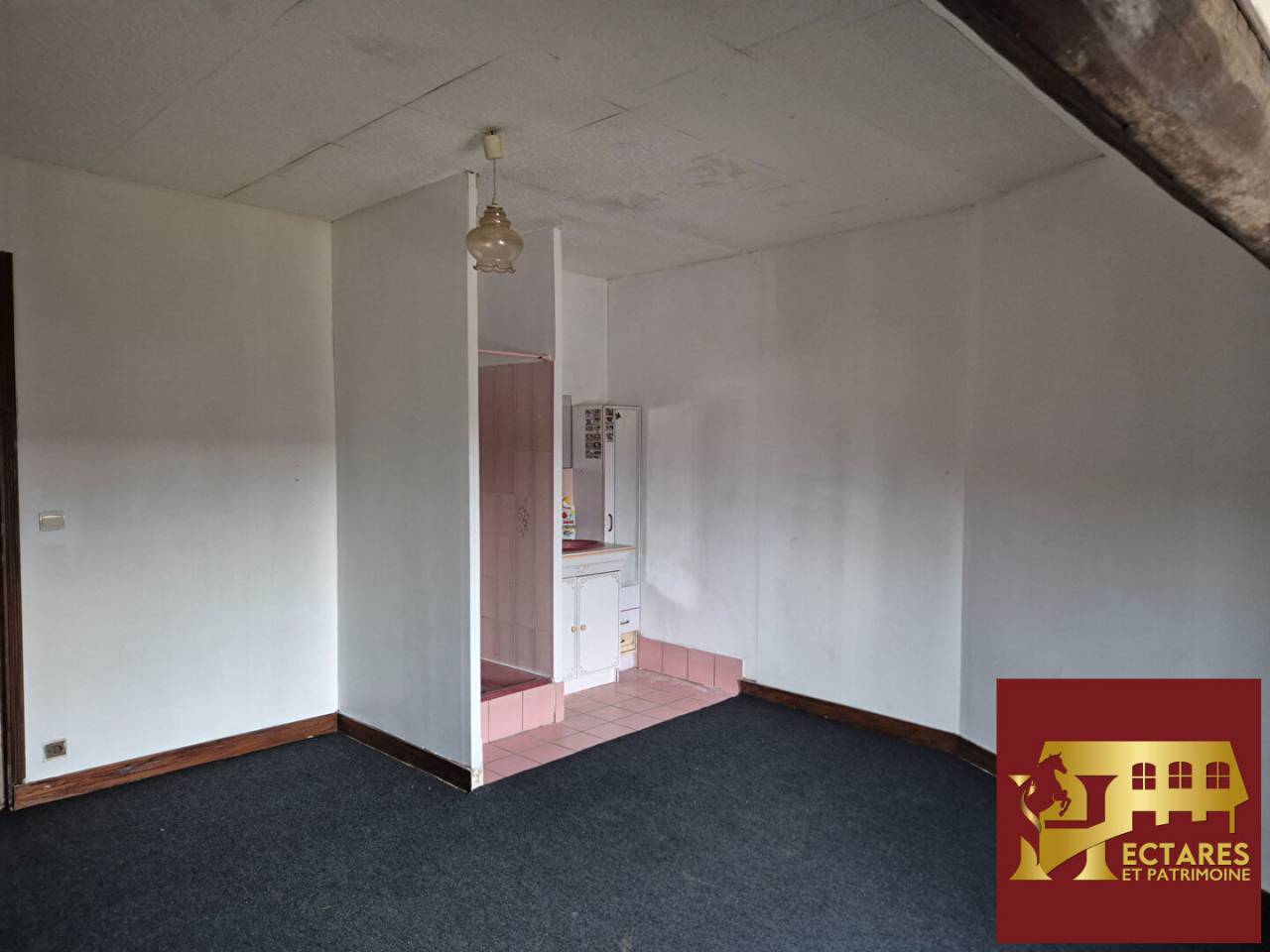 Maison avec boxes et 1.2 ha  &agrave; 45 minutes Fontainebleau