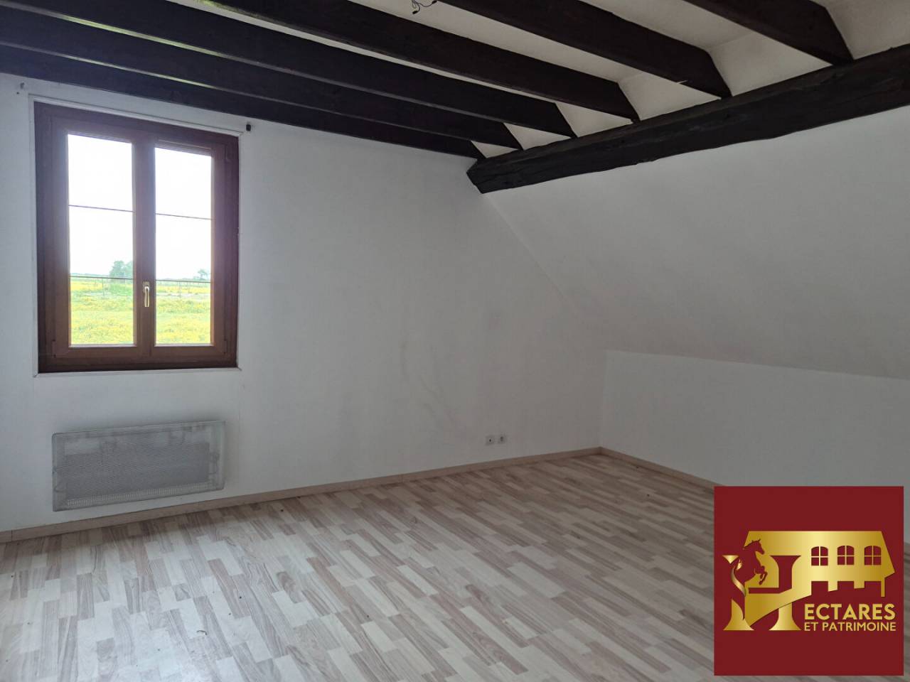 Maison avec boxes et 1.2 ha  &agrave; 45 minutes Fontainebleau