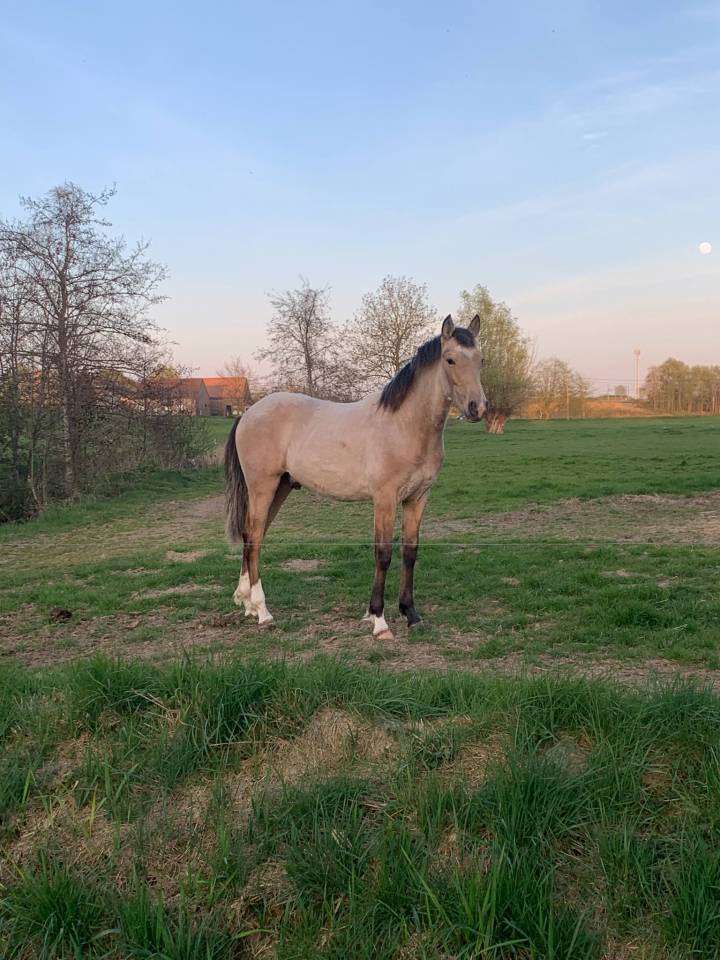 Federico PRE PP 2 ans 