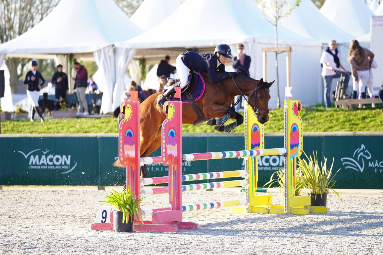 Top jument 5 ans pour cavalier amateur
