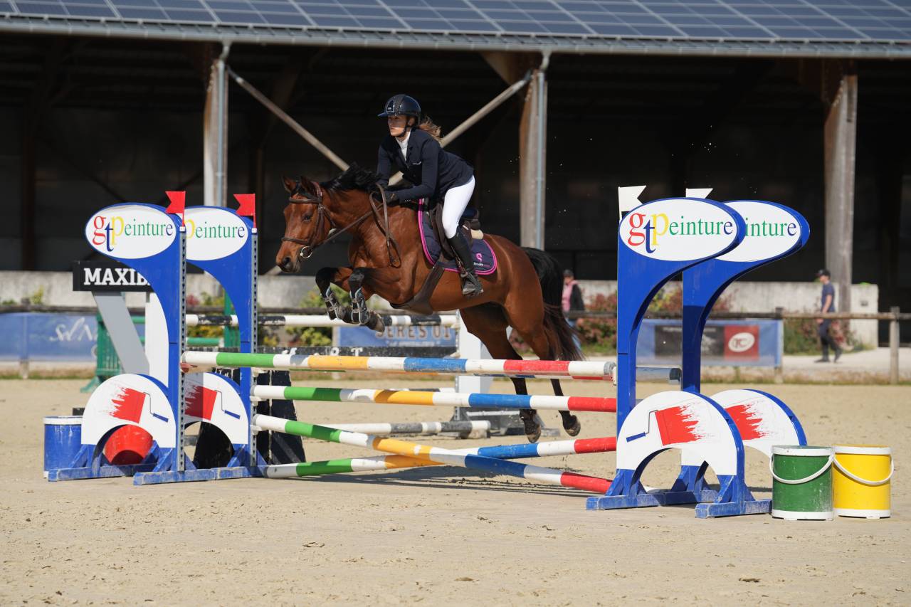 Top jument 5 ans pour cavalier amateur
