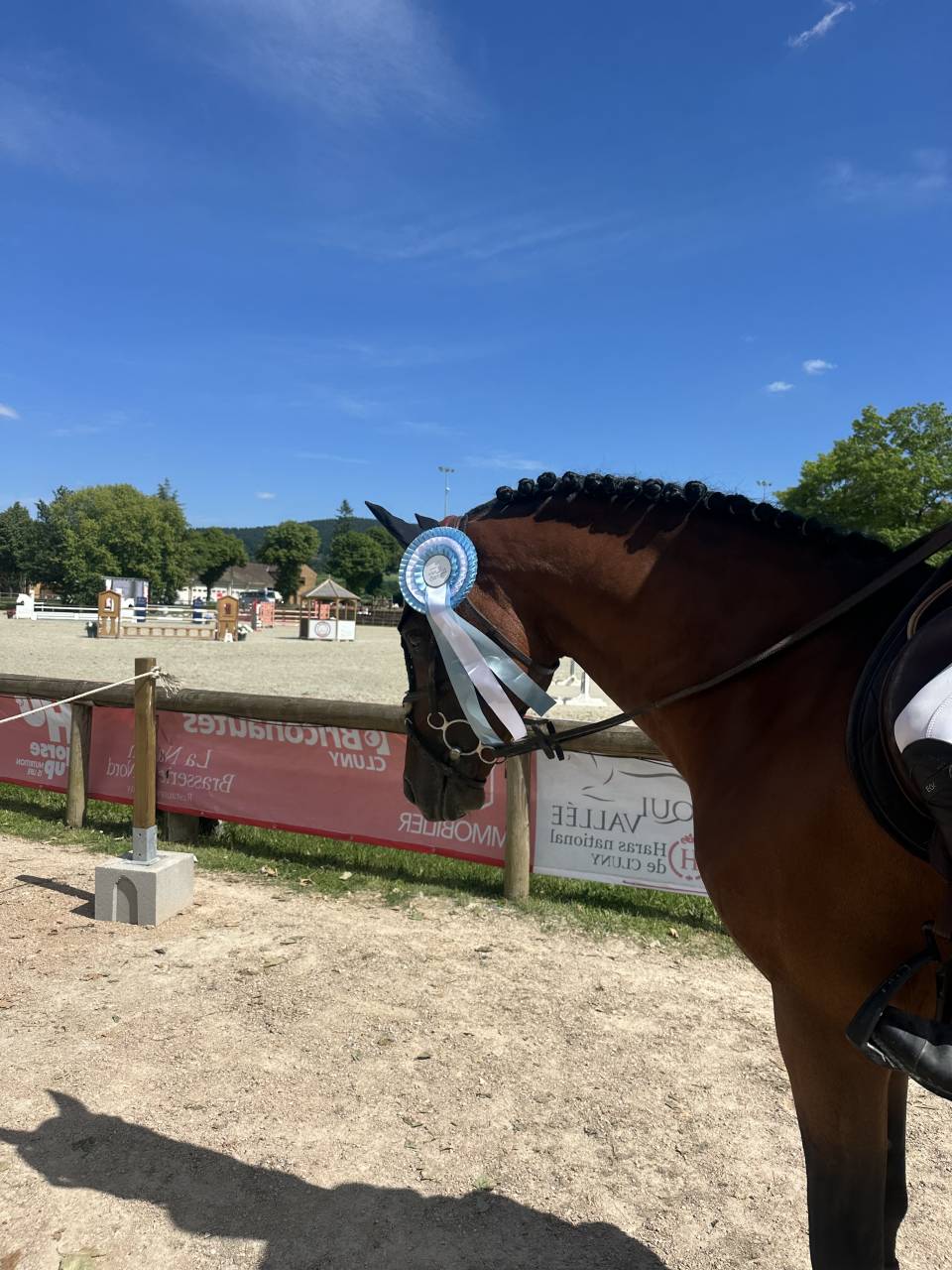 Excellent poney &Agrave; VENDRE 