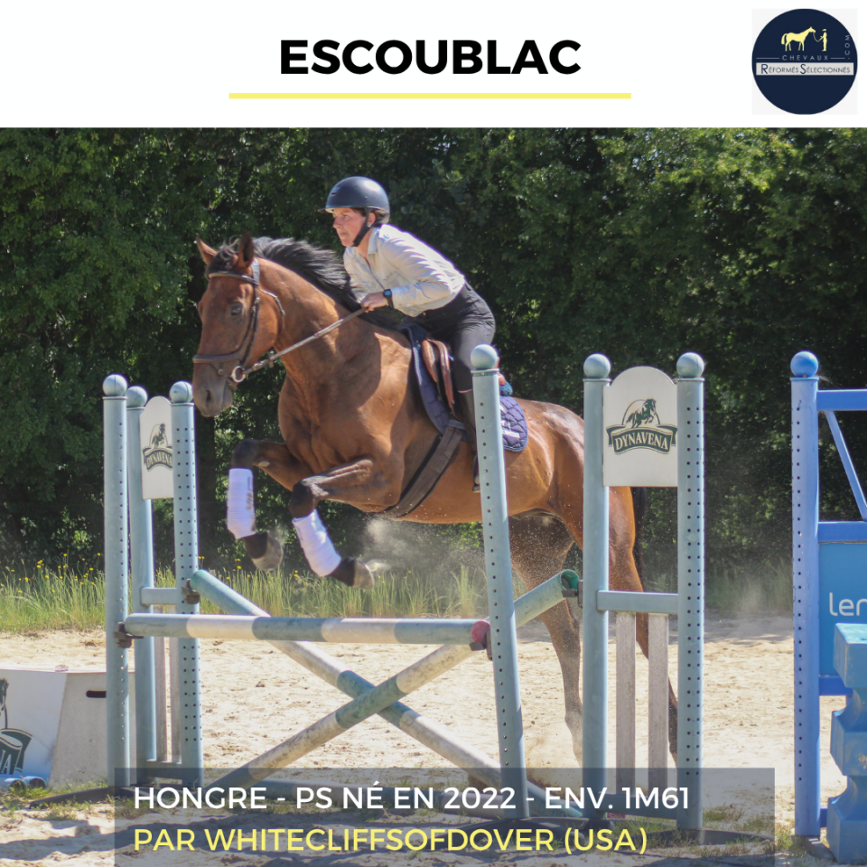ESCOUBLAC - PS - 4 ANS