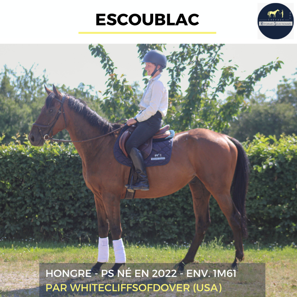 ESCOUBLAC - PS - 4 ANS