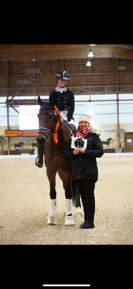 Hongre - BWP - 15 ans - Dressage / CDI YR - France