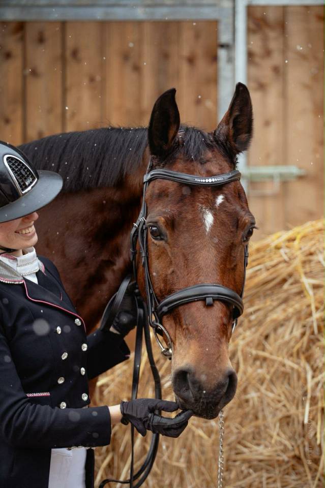 Hongre - BWP - 15 ans - Dressage / CDI YR - France