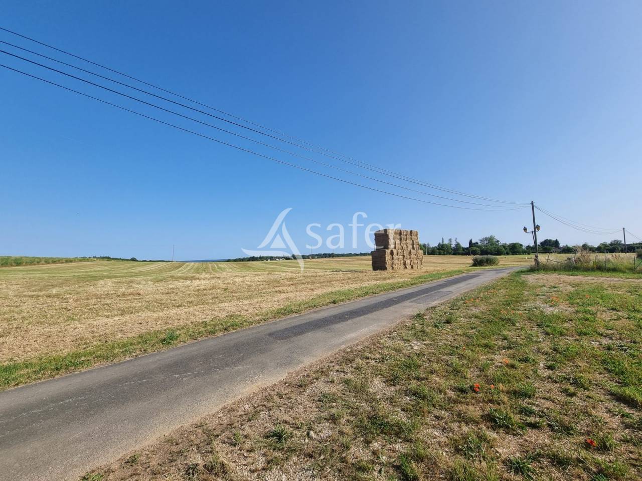 Exploitation &eacute;levage ovin et viticulture AOC Cahors sur 83 ha