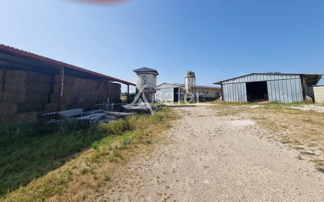 Exploitation &eacute;levage ovin et viticulture AOC Cahors sur 83 ha