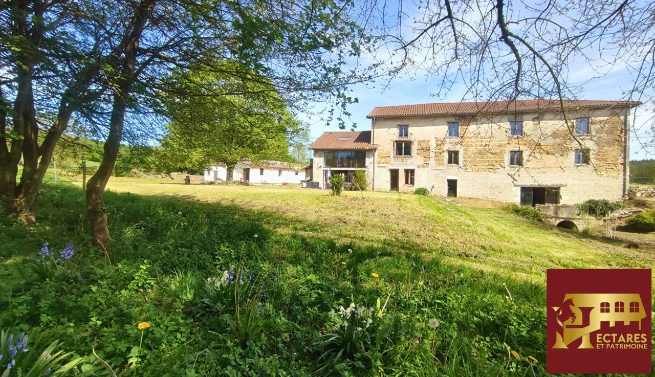 Ancien Moulin 4,3 hectares