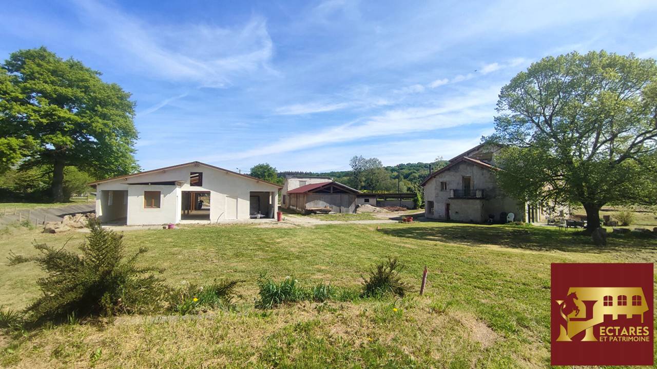 Ancien Moulin 4,3 hectares
