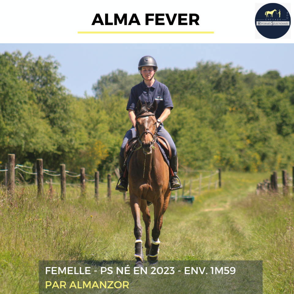 ALMA FEVER - PS - 3 ANS 