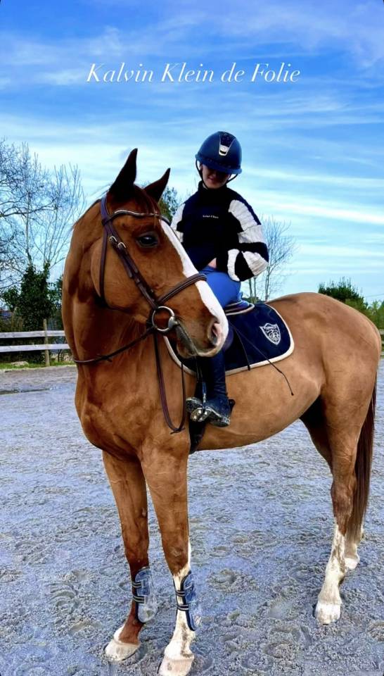 Cheval pour faire les 7 ans 
