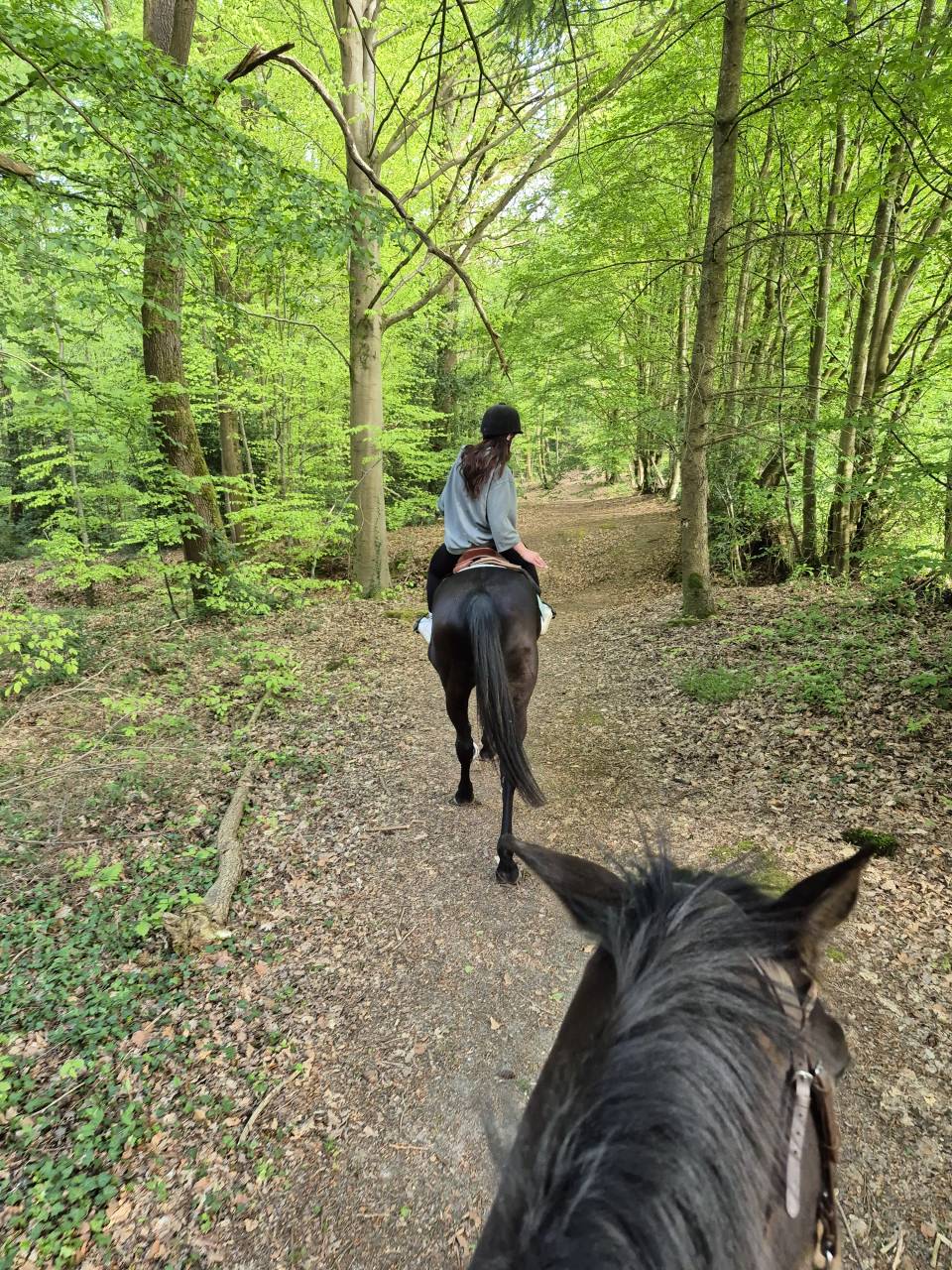 Colonie en normandie