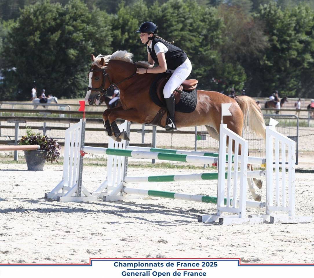 A vendre PFS 6 ans pour CSO