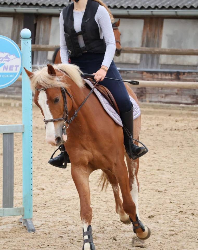 A vendre PFS 6 ans pour CSO