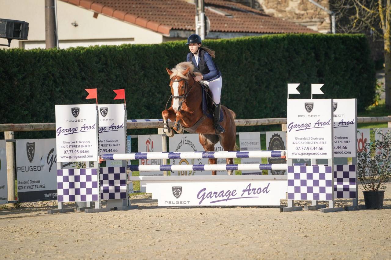 A vendre PFS 6 ans pour CSO