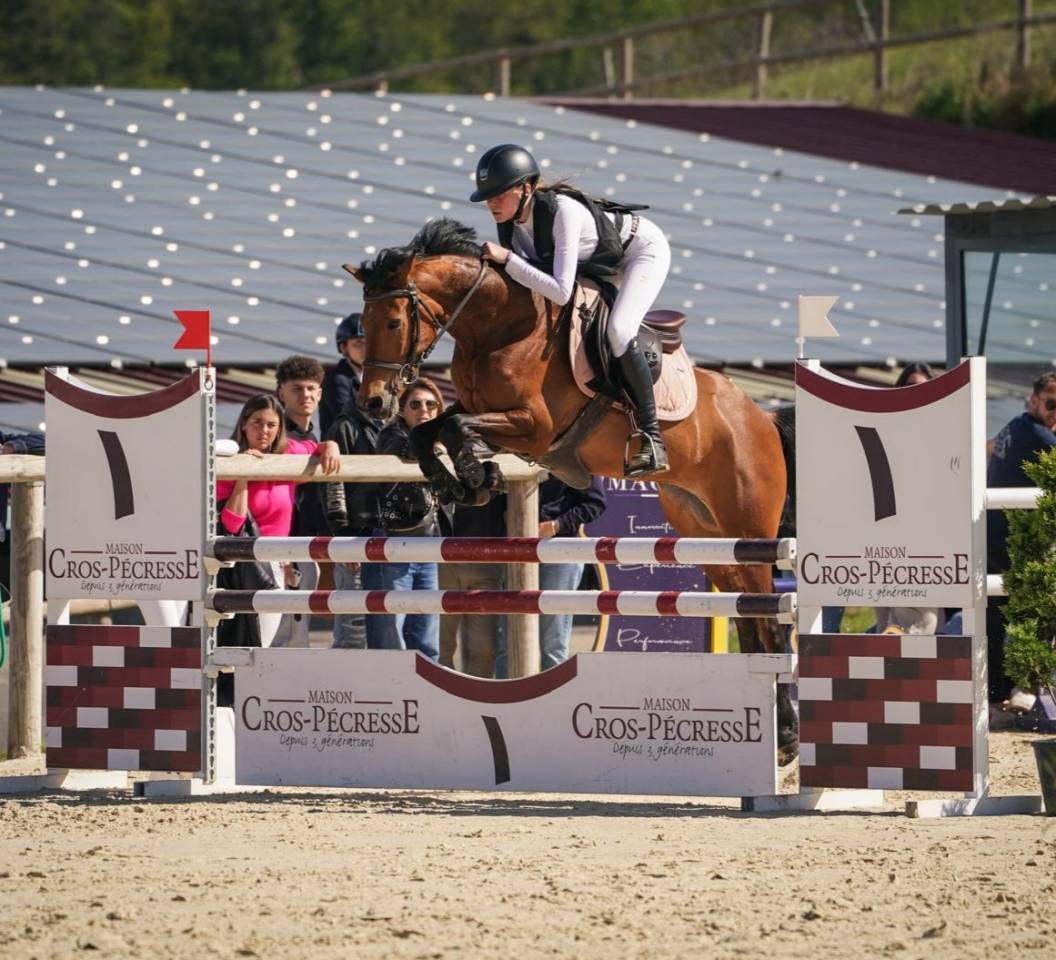 Poney CSO performant 6 ans