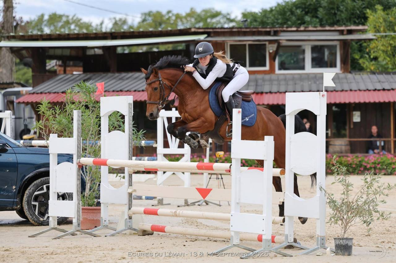 Poney CSO performant 6 ans
