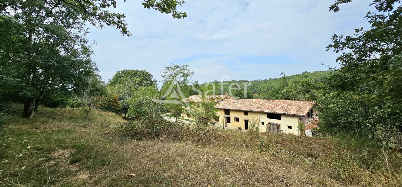 Propri&eacute;t&eacute; sur 20 ha en vall&eacute;e de la L&egrave;ze