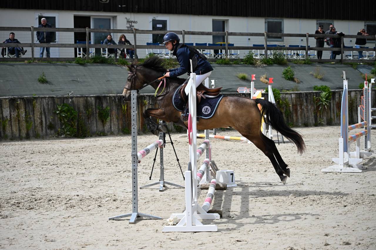 Poney de sport PFS