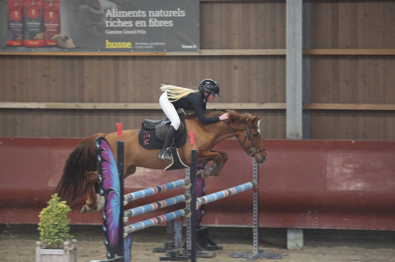 PONEY DE SPORT NIVEAU AS 