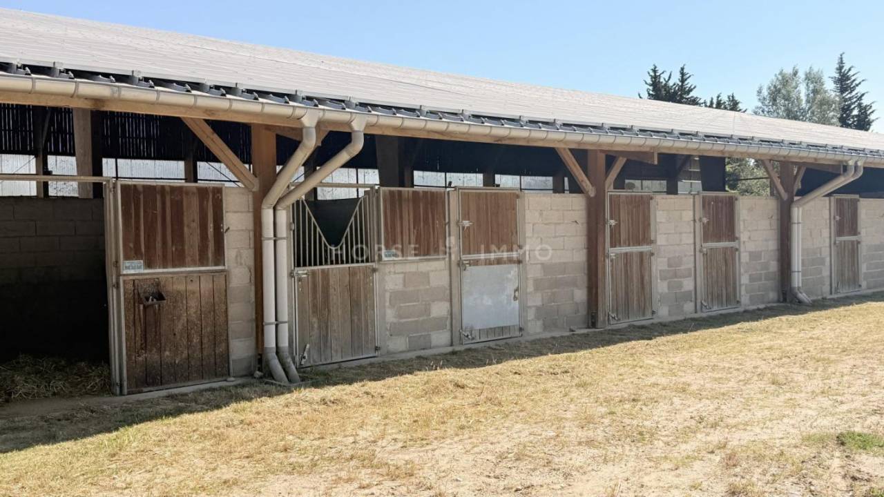 Splendide domaine &eacute;questre avec plusieurs logements