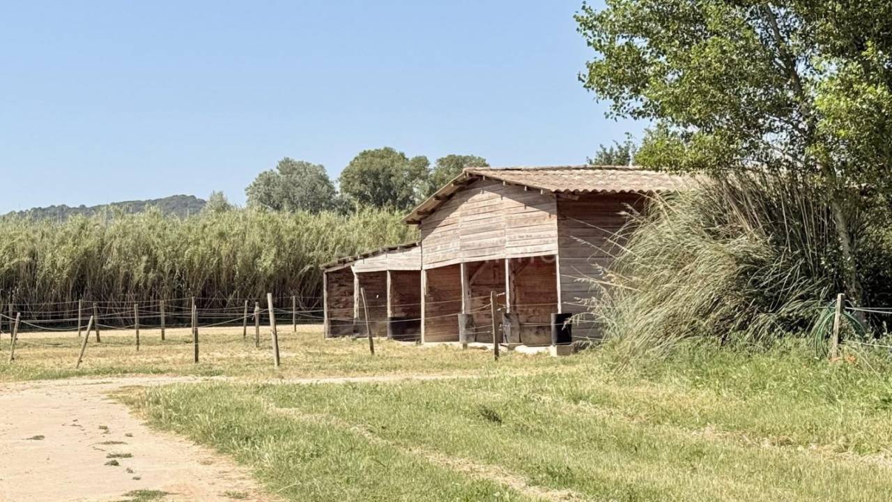 Splendide domaine &eacute;questre avec plusieurs logements
