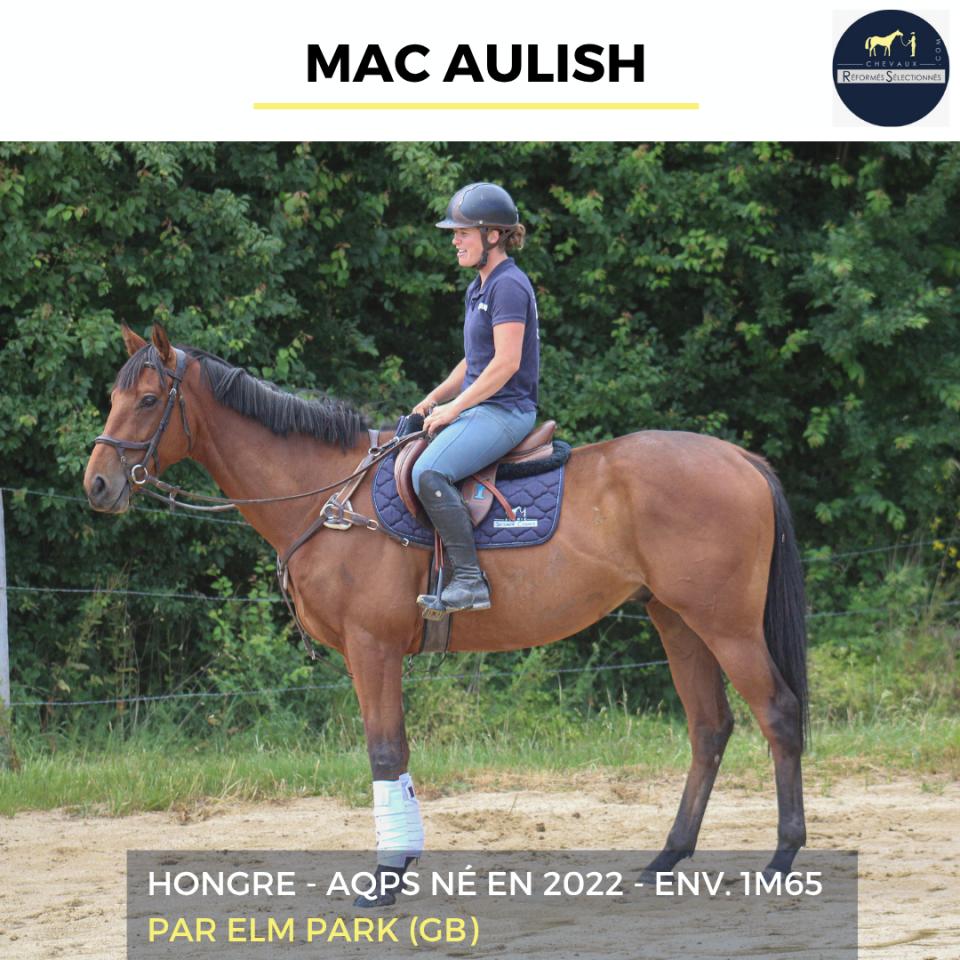MAC AULISH - AQPS - 4 ANS