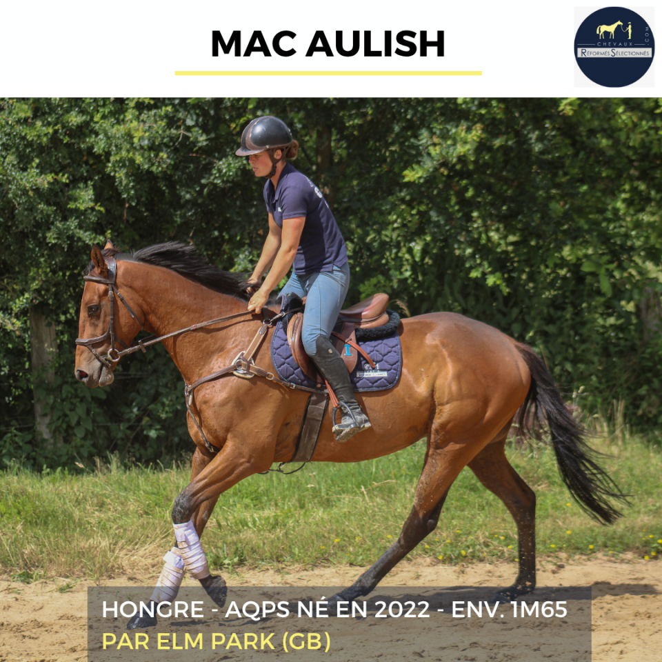 MAC AULISH - AQPS - 4 ANS