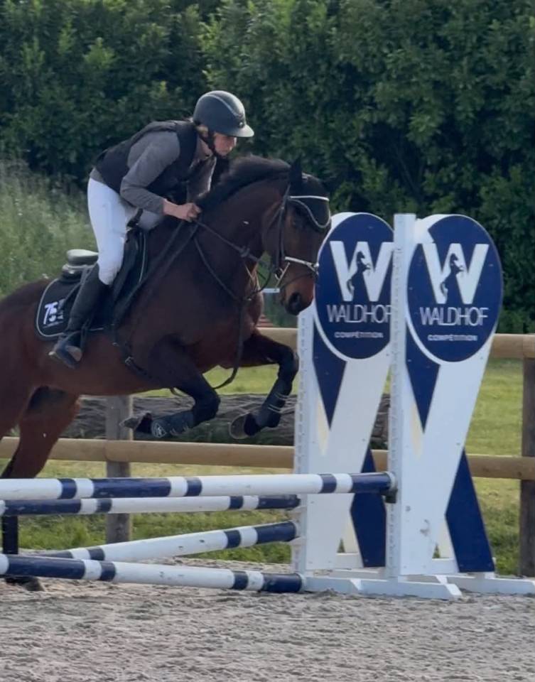 Chouette Hongre CLUB 2 - id&eacute;al Club - CSO 