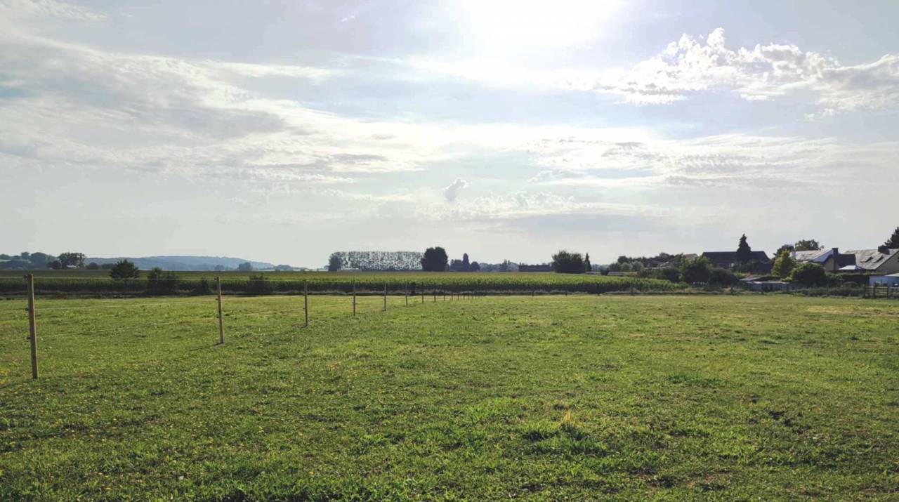 Prairies &agrave; louer &agrave; l'ann&eacute;e