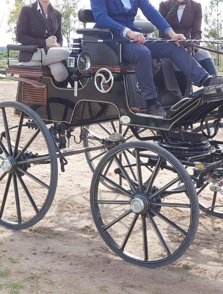 Voiture de dressage pour 2 ou 4 chevaux 
