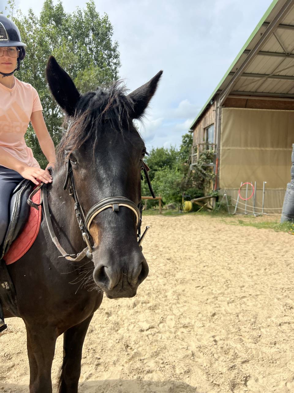 HONGRE MERENS PP