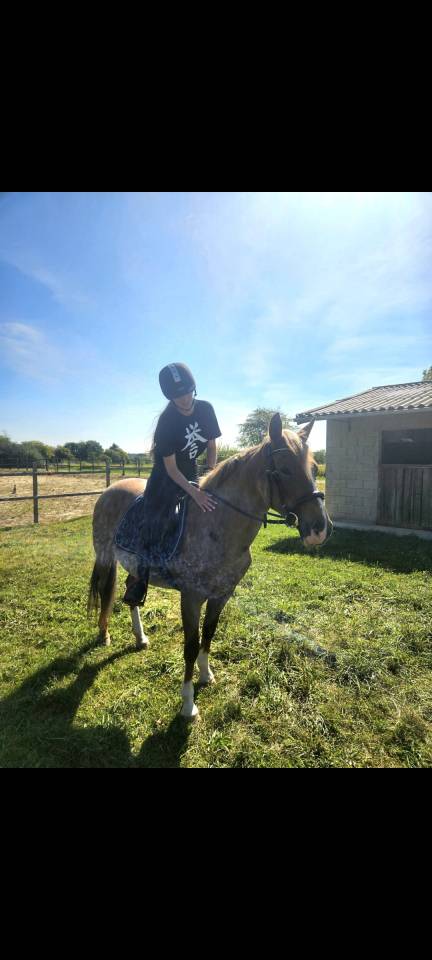 Ponette &agrave; vendre 