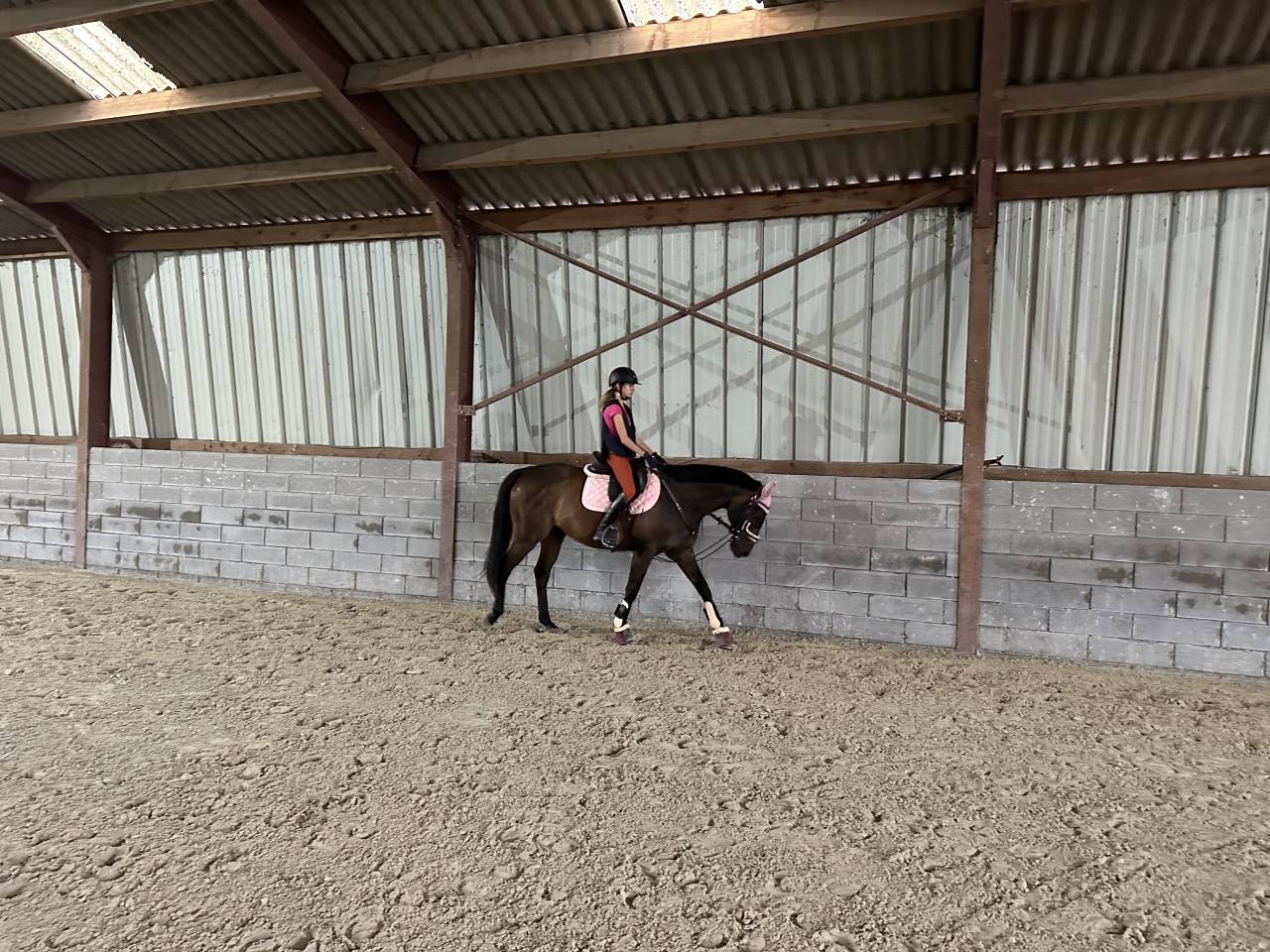 Cheval de loisir