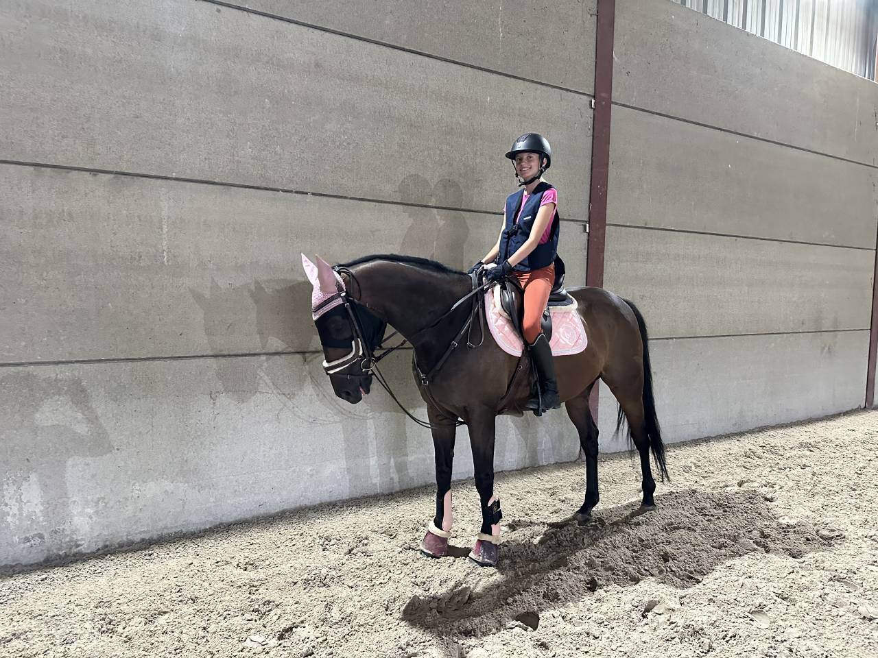 Cheval de loisir