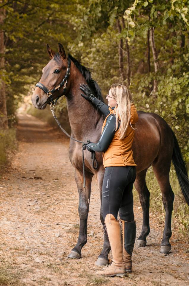 Dark Devil, magnifique hongre