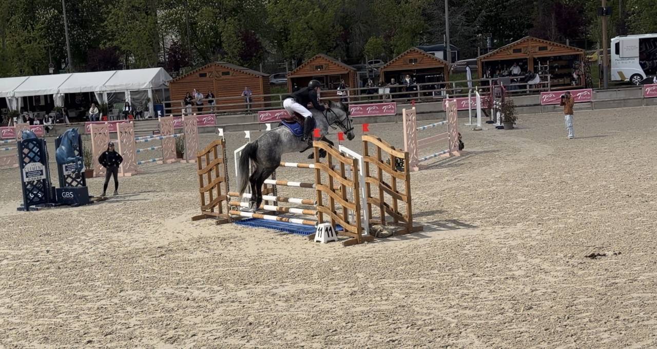 Hongre 9 ans - CSO AS