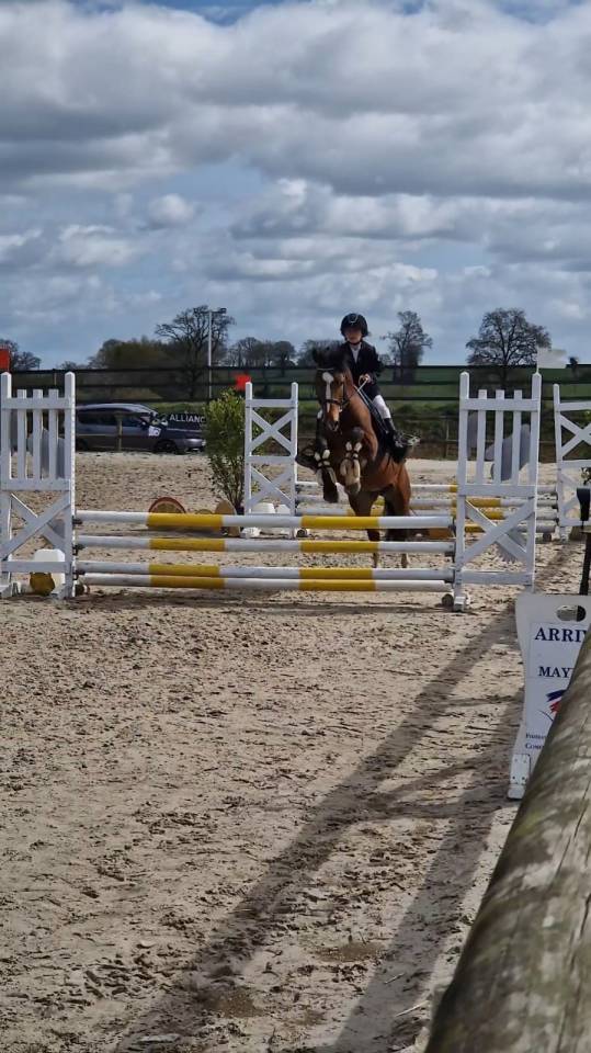 A vendre top poney pour concours 
